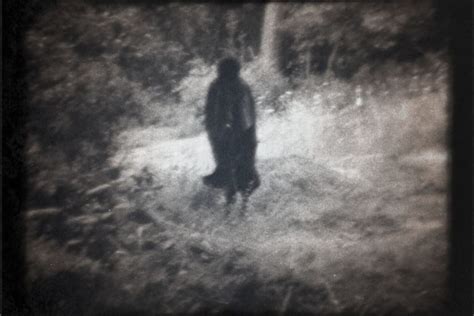 pluckly woods|pluckley woods massacre.